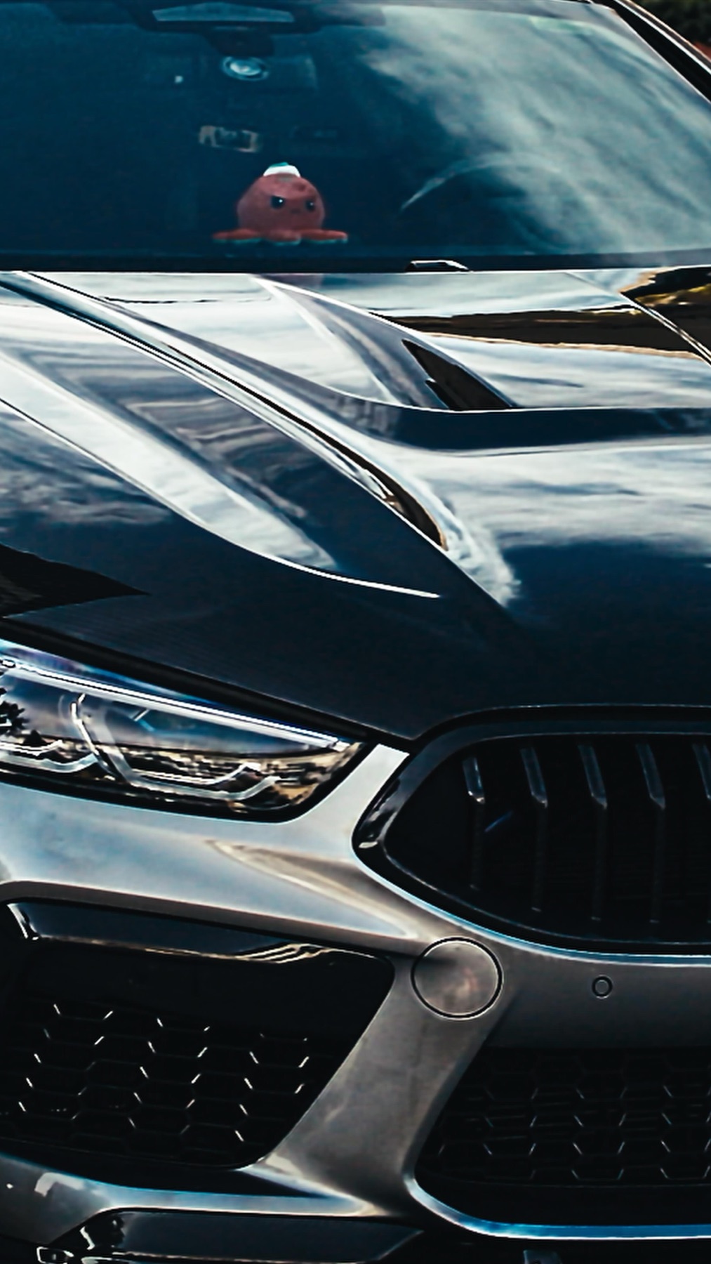 Project Stone BMW M8 Competition